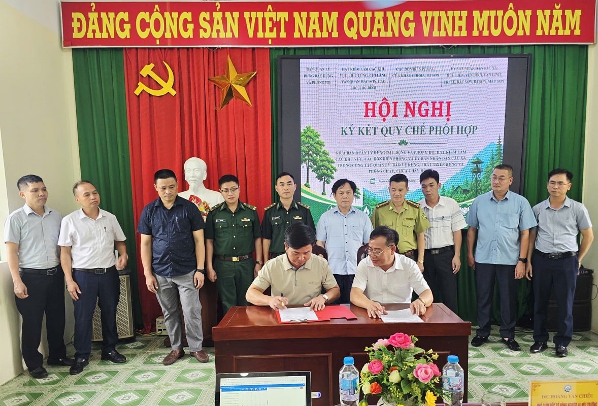 Quy chế phối hợp giữa chủ rừng và chính quyền các xã góp phần gắn trách nhiệm bảo vệ rừng với từng địa bàn. Ảnh: Hoàng Nghĩa.