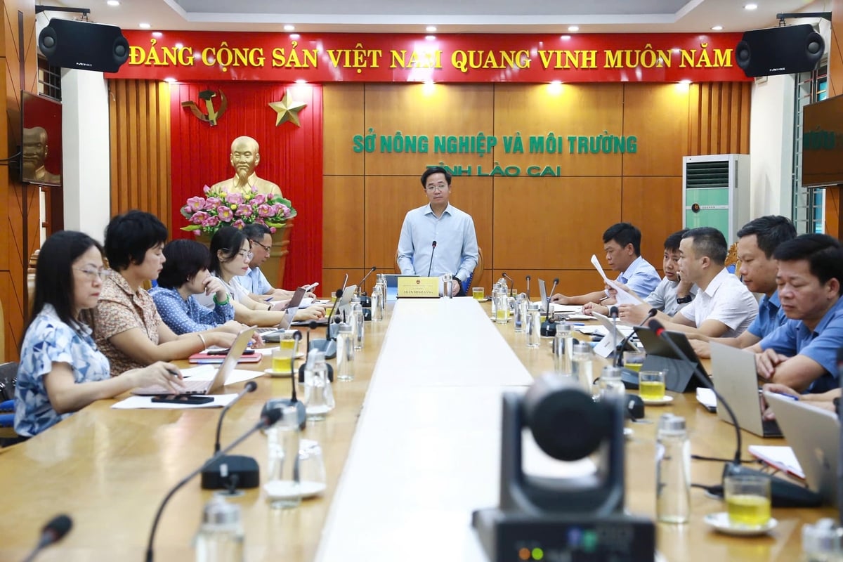 Ông Trần Minh Sáng, Giám đốc Sở Nông nghiệp và Môi trường tỉnh Lào Cai chủ trì hội nghị lấy ý kiến dự thảo Nghị quyết một số chính sách khuyến khích, hỗ trợ phát triển dược liệu trên địa bàn. Ảnh: Thanh Ngà.