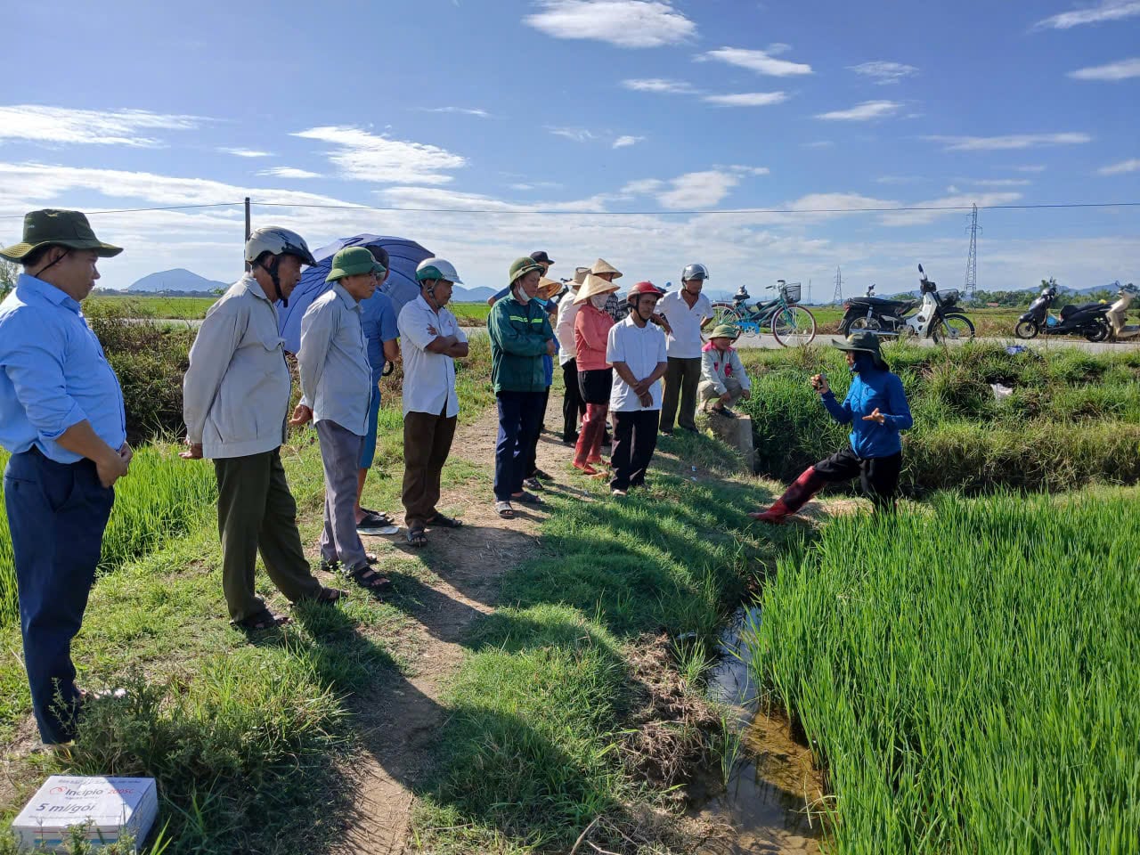 Người dân cần chủ động giám sát đồng ruộng và triển khai các biện pháp phòng trừ theo khuyến cáo của cơ quan chuyên môn. Ảnh: Hoàng Gia. Người dân cần chủ động giám sát đồng ruộng và triển khai các biện pháp phòng trừ theo khuyến cáo của cơ quan chuyên môn. Ảnh: Hoàng Gia.