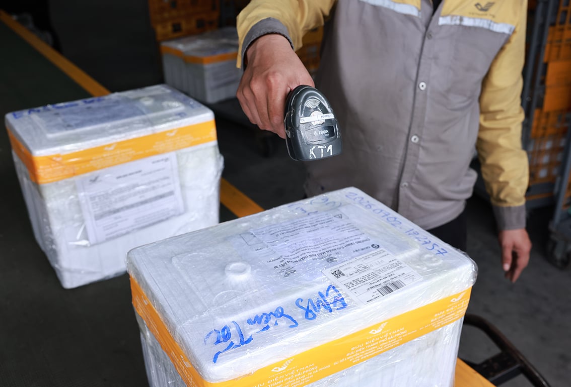 Các mẫu sinh phẩm được kiểm soát chặt chẽ trong quá trình vận chuyển. Ảnh: VNP.