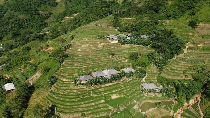 Những thửa ruộng bậc thang thường xuyên thiếu nước, phụ thuộc hoàn toàn vào mưa. Ảnh Ngọc Tú.