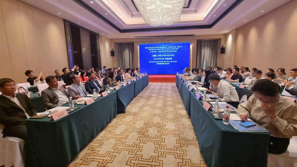Hội nghị Giao lưu hợp tác kinh tế-thương mại-đầu tư giữa Gia Lai với thành phố Ninh Ba (Trung Quốc). Ảnh: Sở VH-TT&DL.
