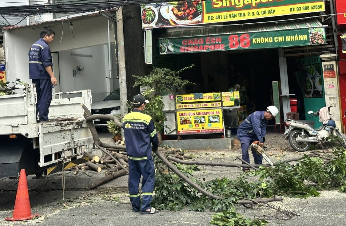 Công nhân công ty TNHH MTV Công viên cây xanh TP.HCM cắt tỉa cây xanh trên đường Lê Văn Thọ, phường Thông Tây Hội. Ảnh: Thục Vy.