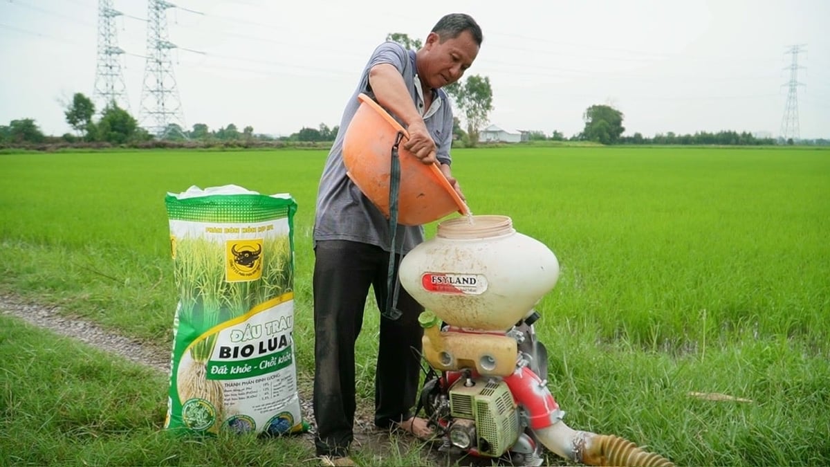 Ông Trầm Văn Thậm chuẩn bị bón phân Đầu Trâu Bio Lúa 1 cho ruộng lúa nếp IR4625 của gia đình. Ảnh: Ngọc Vân. Ông Trầm Văn Thậm chuẩn bị bón phân Đầu Trâu Bio Lúa 1 cho ruộng lúa nếp IR4625 của gia đình. Ảnh: Ngọc Vân.