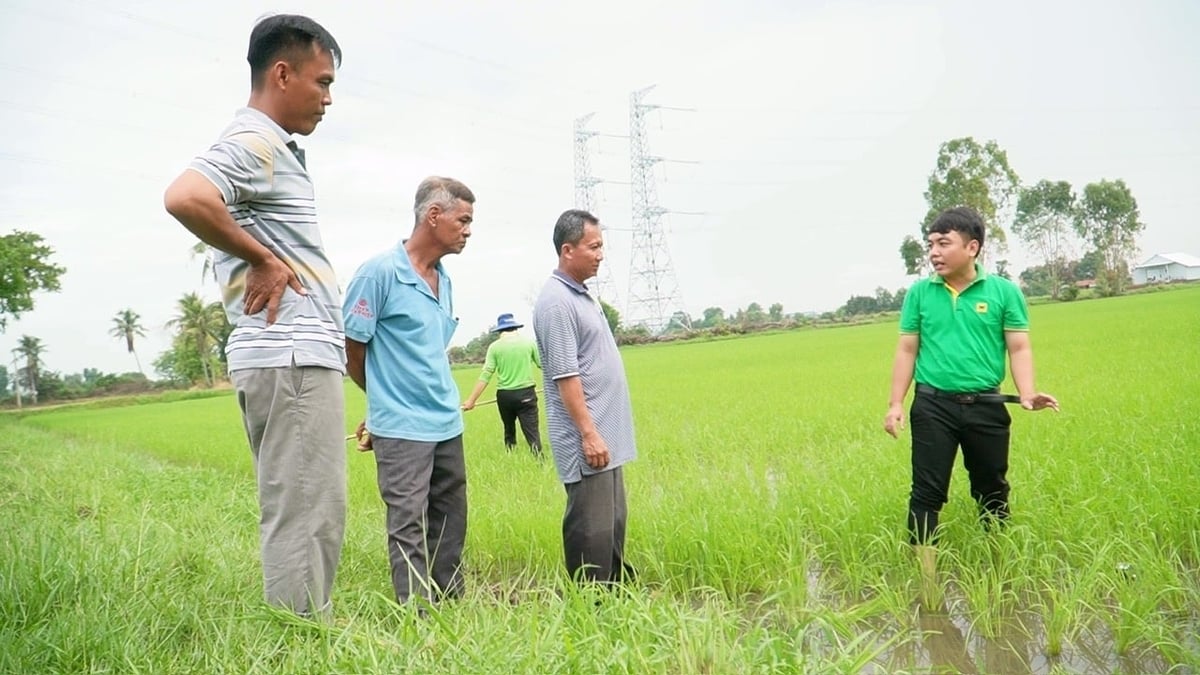 Cán bộ kỹ thuật Công ty Cổ phần Phân bón Bình Điền trao đổi với nông dân về hiệu quả mô hình 'Hành trình Xanh - Đất khỏe, cây trồng khỏe'. Ảnh: Ngọc Vân. Cán bộ kỹ thuật Công ty Cổ phần Phân bón Bình Điền trao đổi với nông dân về hiệu quả mô hình 'Hành trình Xanh - Đất khỏe, cây trồng khỏe'. Ảnh: Ngọc Vân.