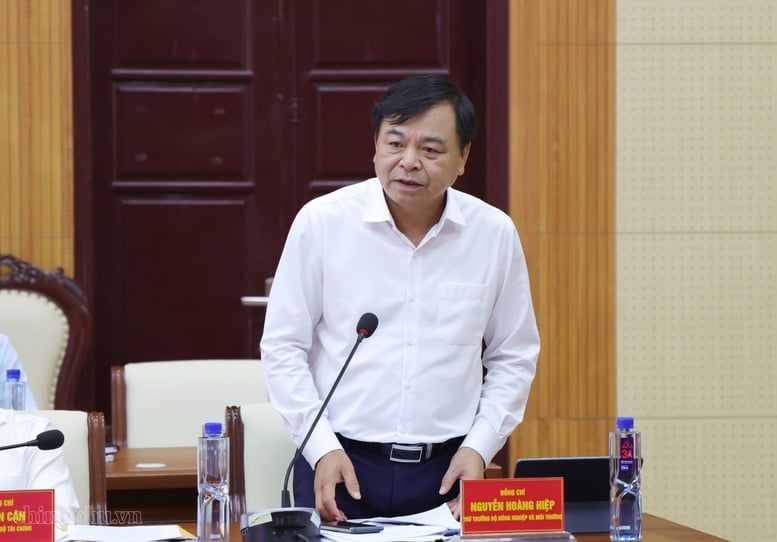 Thứ trưởng Bộ Nông nghiệp và Môi trường Nguyễn Hoàng Hiệp phát biểu tại cuộc làm việc. Ảnh: VGP/Gia Huy.