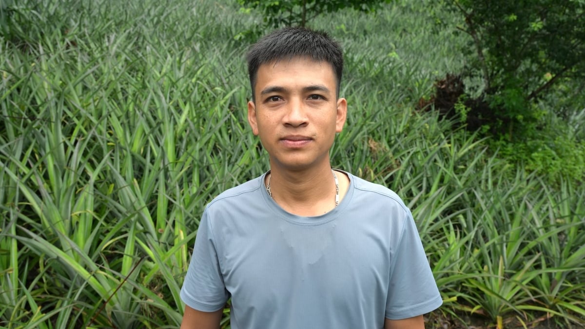 Anh Quàng Văn Việt, Trưởng bản Na Sang, xã Na Sang, tỉnh Điện Biên, đồng hành cùng người dân phát triển vùng nguyên liệu dứa OCOP. Ảnh: Mai Dũng.