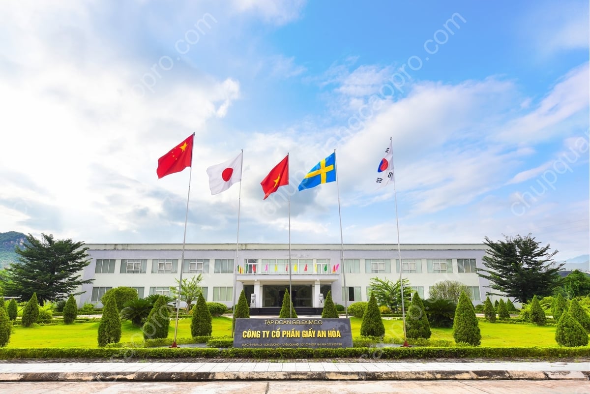 Quang cảnh Công ty giấy An Hòa. Ảnh: GAH.