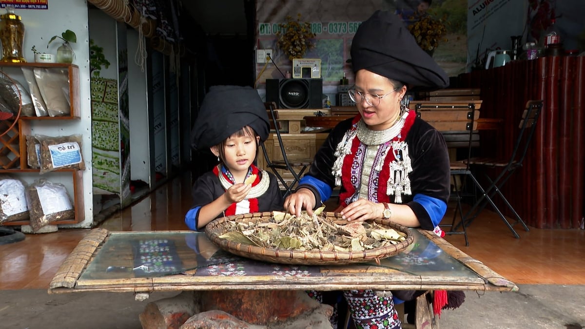 Những mô hình phát triển kinh tế được nhân rộng tại từng bản làng ở tỉnh Lai Châu. Ảnh: Đức Bình.