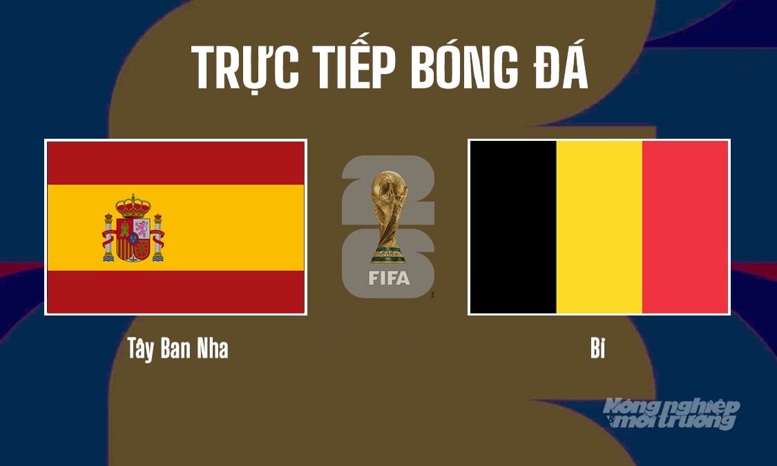 Trực tiếp bóng đá tại vòng tứ kết giải World Cup 2026 giữa Tây Ban Nha vs Bỉ ngày 11/7/2026