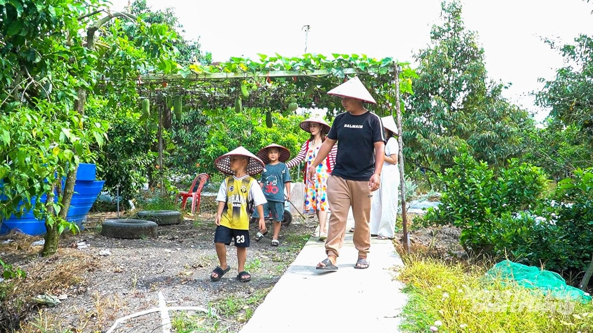 Du khách tham quan khu vườn và khám phá không gian du lịch sinh thái gắn với nông nghiệp tại Vườn du lịch sinh thái Cường Thịnh. Ảnh: Văn Vũ.