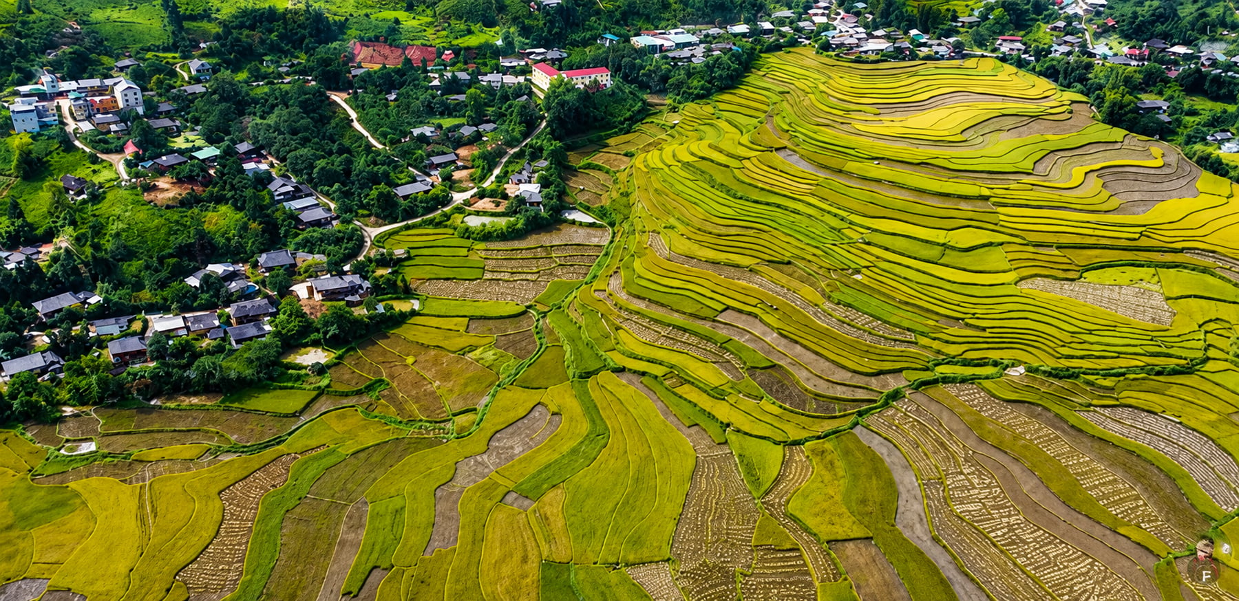 Đường về Nam Vai (Gia Hội) đi qua những thửa ruộng bậc thang đẹp mê mẩn. Ảnh cắt từ video của Hùng Quốc.