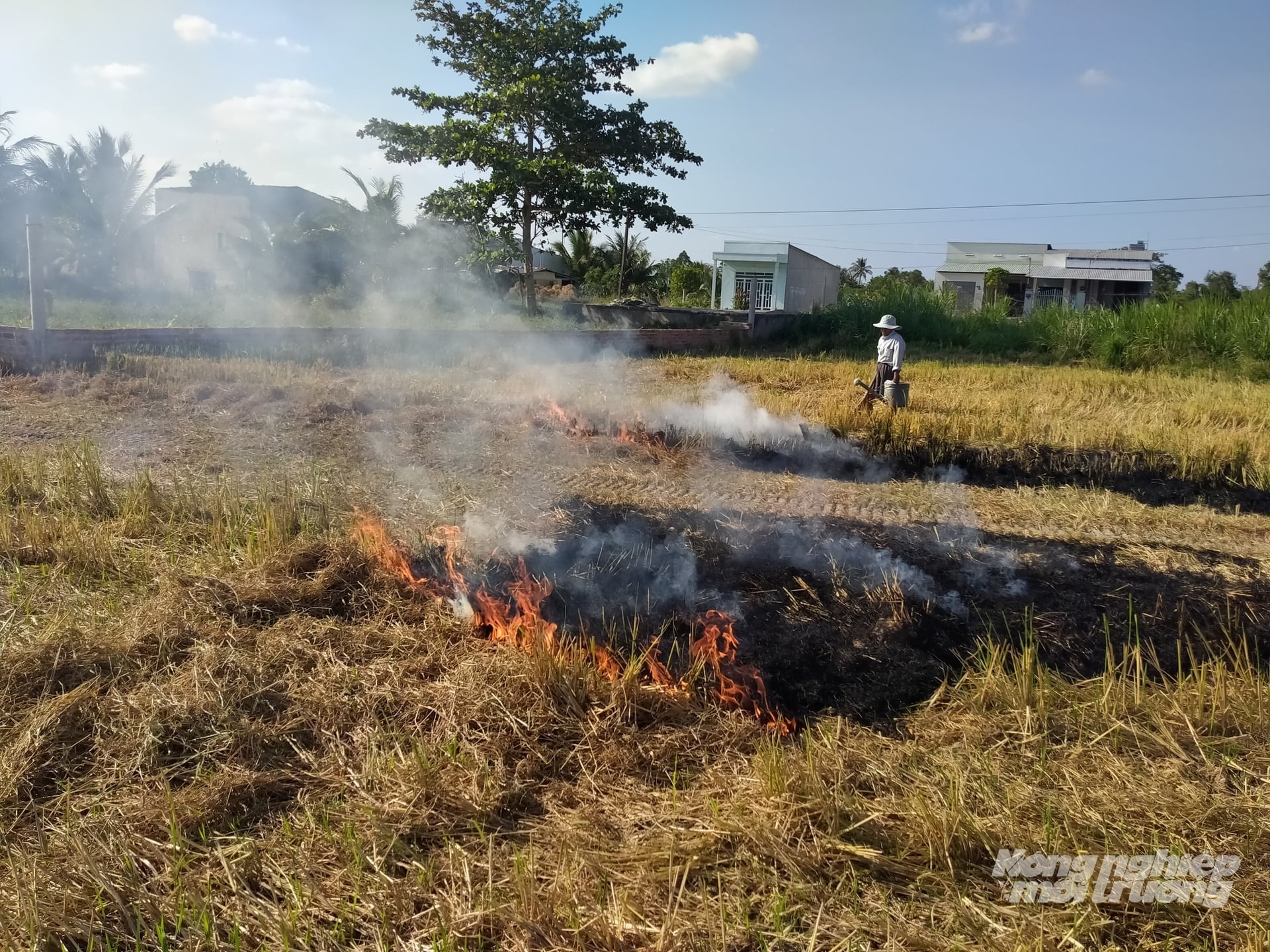 Tỉnh Vĩnh Long đang triển khai các giải pháp đồng bộ, ứng dụng công nghệ số nhằm quản lý tài nguyên, bảo vệ môi trường bền vững. Ảnh: Minh Đảm.