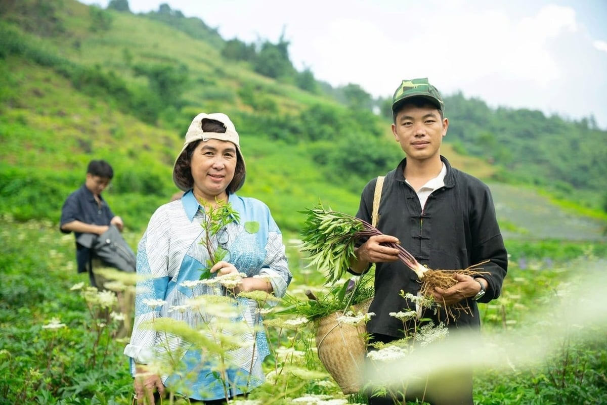 Hỗ trợ phát triển vùng trồng dược liệu gắn với nâng cao thu nhập cho người dân vùng đồng bào dân tộc thiểu số và miền núi. Ảnh: NNMT.