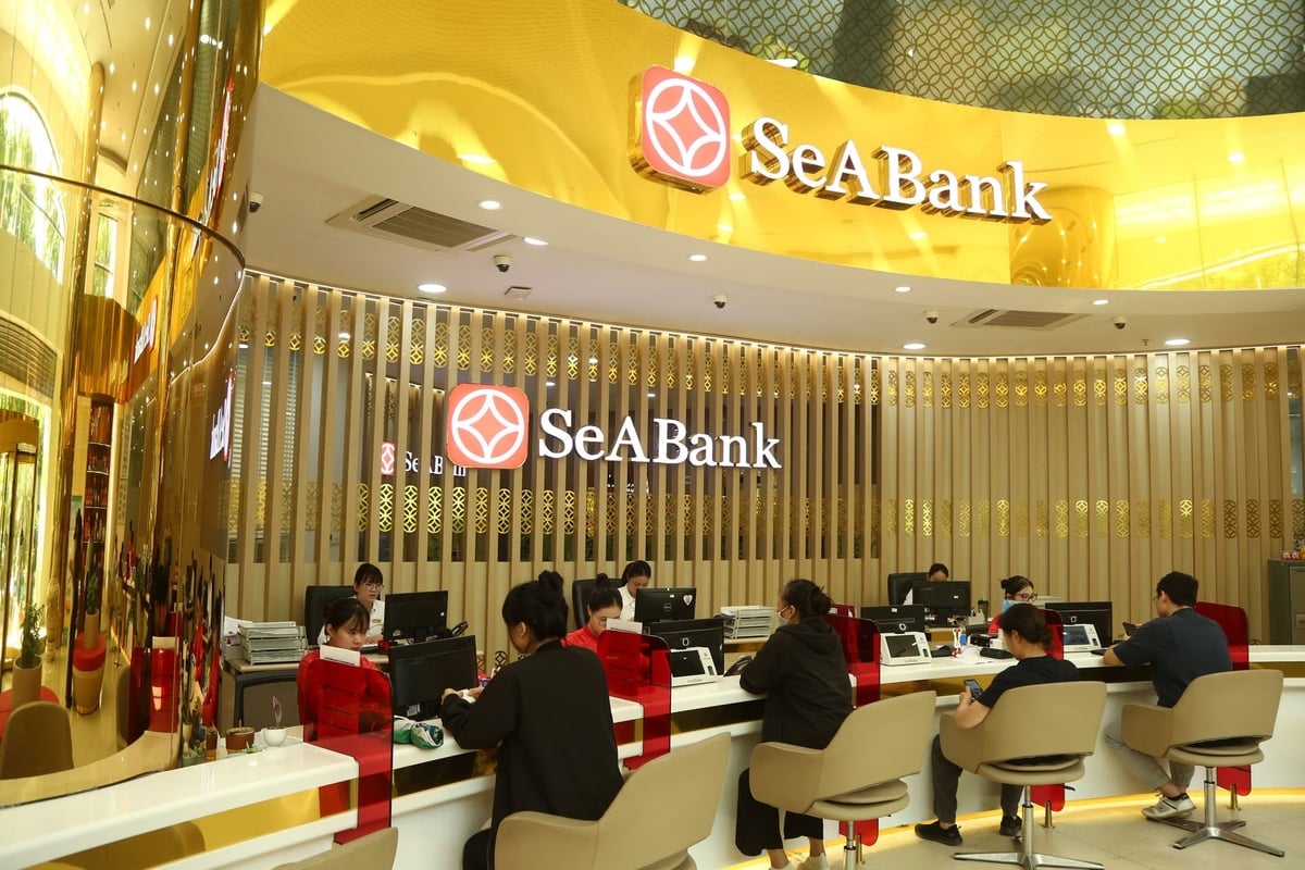 SeABank đóng góp gần 5.300 tỷ đồng ngân sách trong 5 năm (2020 - 2025). Ảnh: SB.