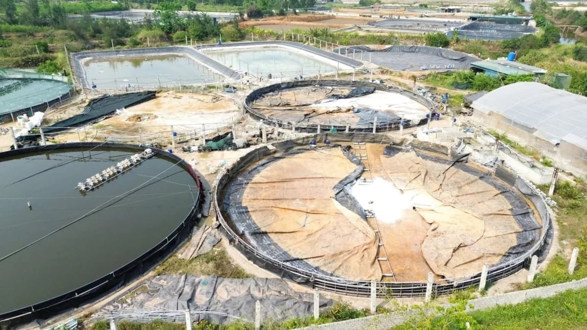 Đẩy nhanh dự án trọng điểm, xử lý các hồ sơ liên quan đến đầu tư, đất đai, xây dựng và môi trường. Ảnh: Thu Thủy.
