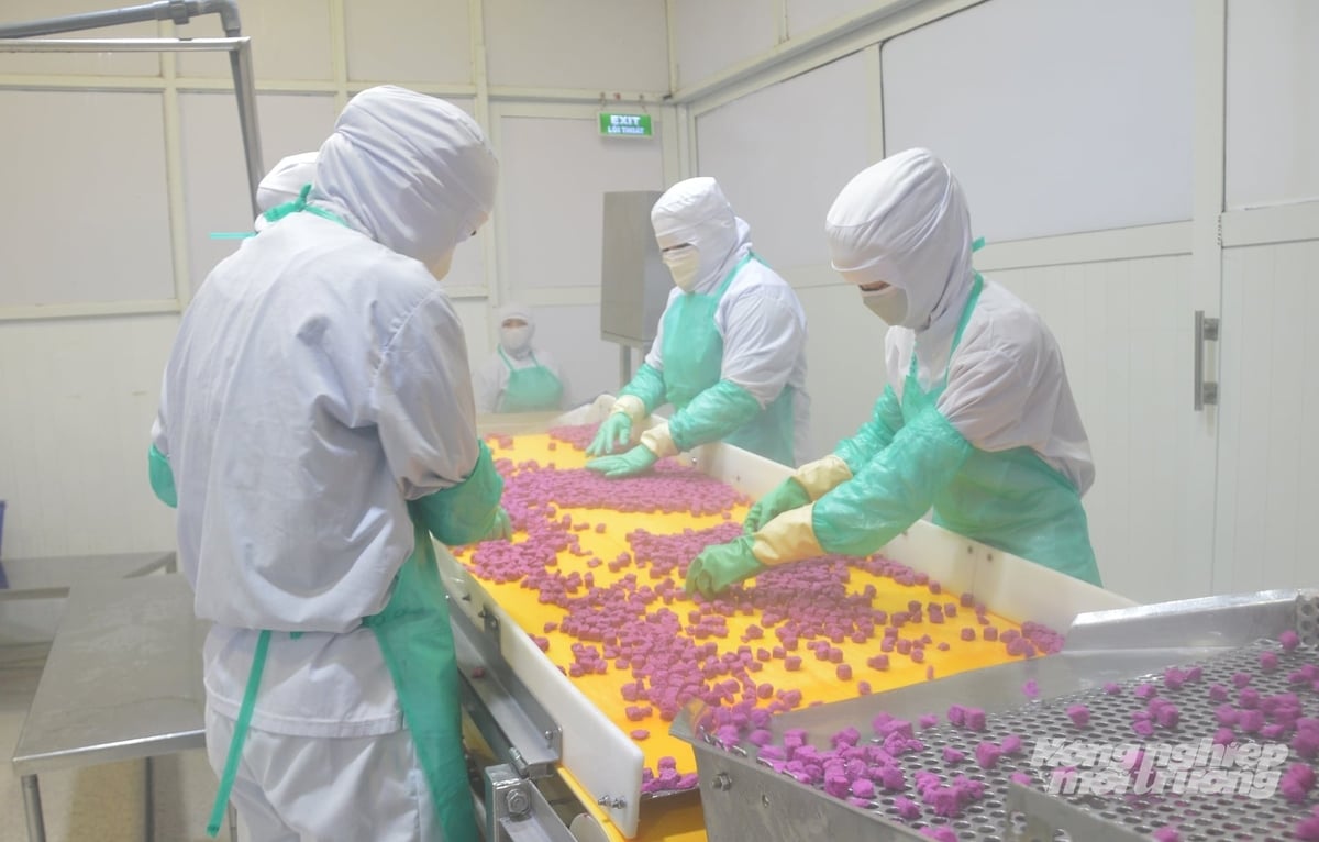 Chế biến rau quả xuất khẩu của Antesco, góp phần nâng cao giá trị sản phẩm nông nghiệp của địa phương. Ảnh: Trung Chánh.