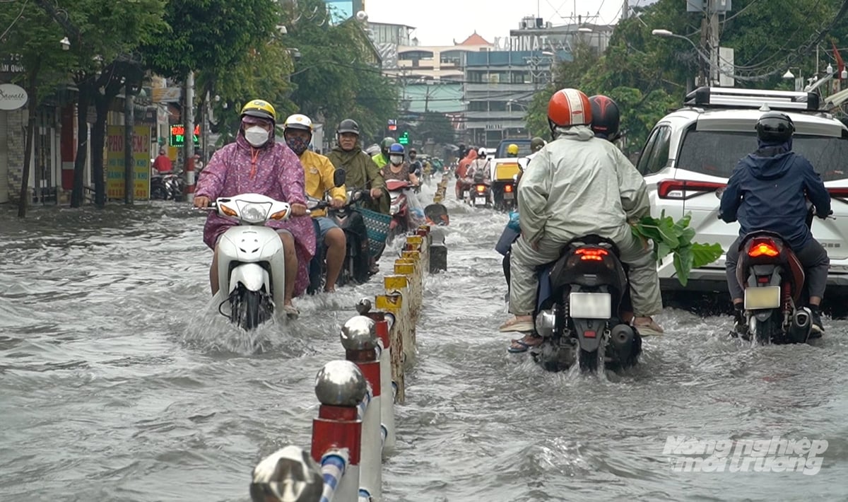 Việc nâng cao hiệu quả quản lý và sử dụng Quỹ PCTT sẽ góp phần tăng khả năng chống chịu của TP.HCM trước tác động của biến đổi khí hậu. Ảnh: Lê Bình.