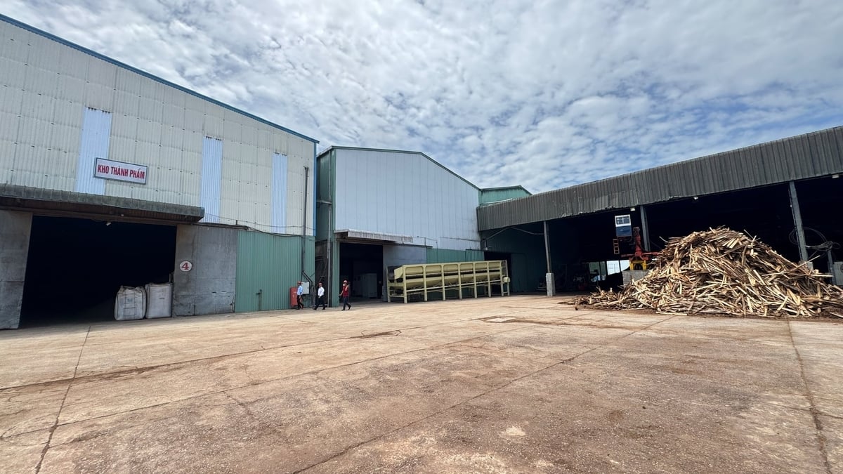 Nhà máy Wood Pellets được cho phép vận hành thử nghiệm trở lại sau gần 1,5 tháng đình chỉ để khắc phục vi phạm về môi trường. Ảnh: L.K.