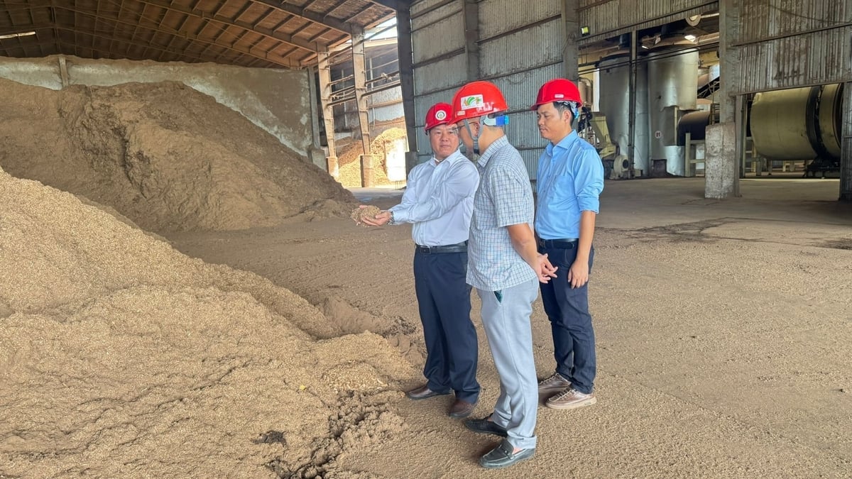 Doanh nghiệp sấy khô nhiên liệu đốt để giảm lượng khói, mùi khét và khí CO phát sinh. Ảnh: L.K.