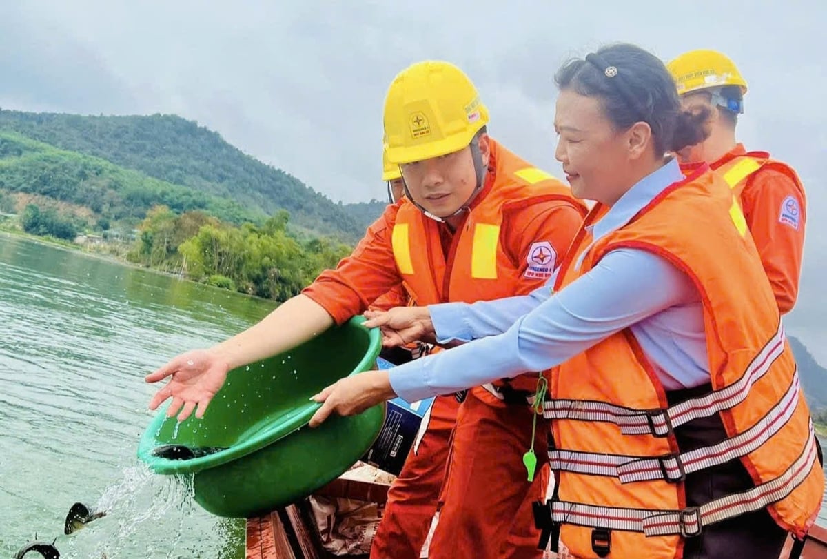 Hoạt động thả cá, tái tạo nguồn lợi thủy sản lòng hồ Khe Bố. Ảnh: An Nhiên.