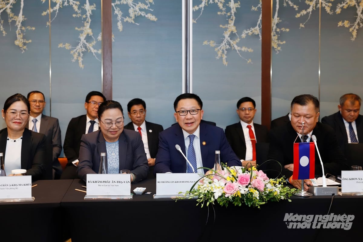 Bộ trưởng Linkham Douangsavanh phát biểu tại buổi làm việc song phương ngày 14/7. Ảnh: Khương Trung.