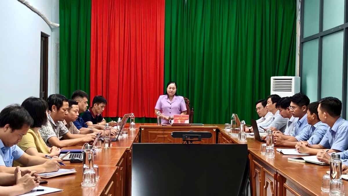 Bà Quách Thị Thanh Bình - Phó Giám đốc Sở Nông nghiệp và Môi trường TP Cần Thơ chủ trì buổi làm việc với ICAFIS, doanh nghiệp cung ứng giống, vật tư đầu vào, HTX trong chuỗi giá trị cá rô phi. Ảnh: Kim Anh.
