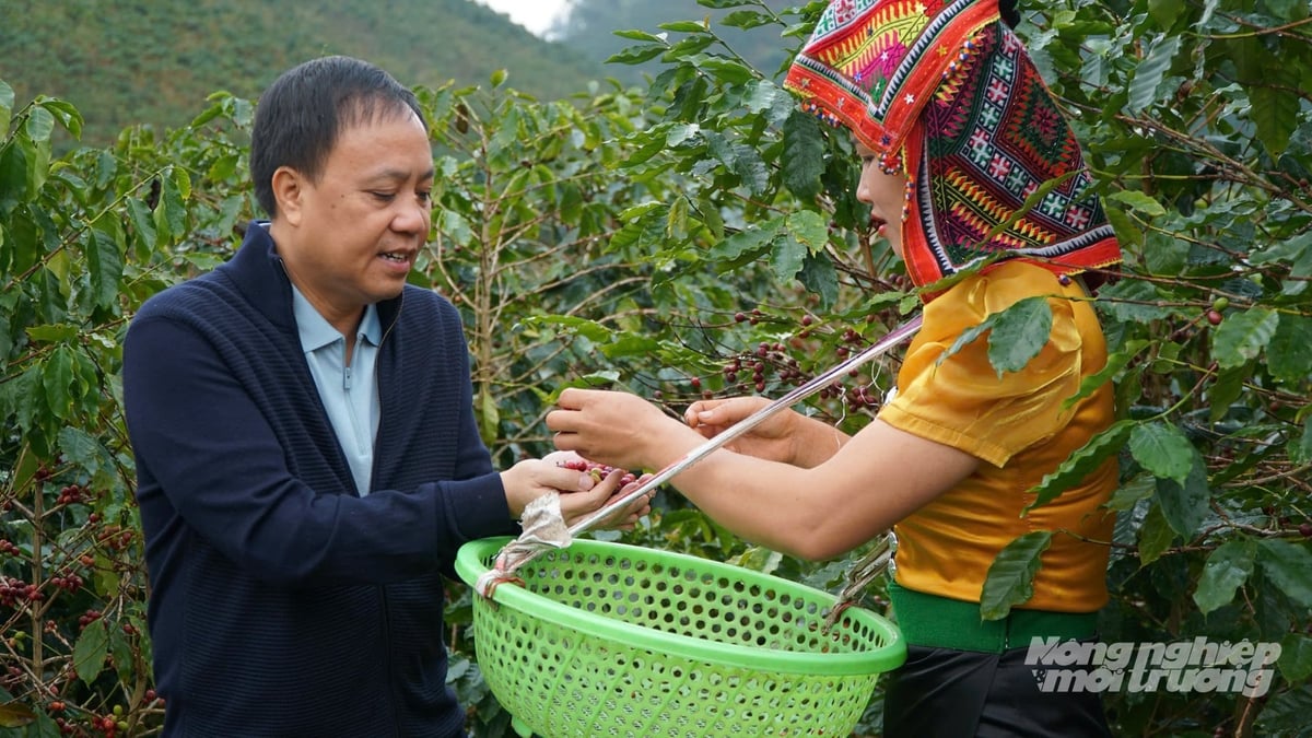 Ông Phan Minh Thông cho biết, 6 tháng đầu năm, doanh thu Phúc Sinh vượt 6.000 tỷ đồng, tương đương khoảng 230 triệu USD. Nếu duy trì đà tăng trưởng này, doanh thu cả năm có thể đạt khoảng 460 triệu USD, tăng hơn 25%. Ảnh: Lê Bình.
