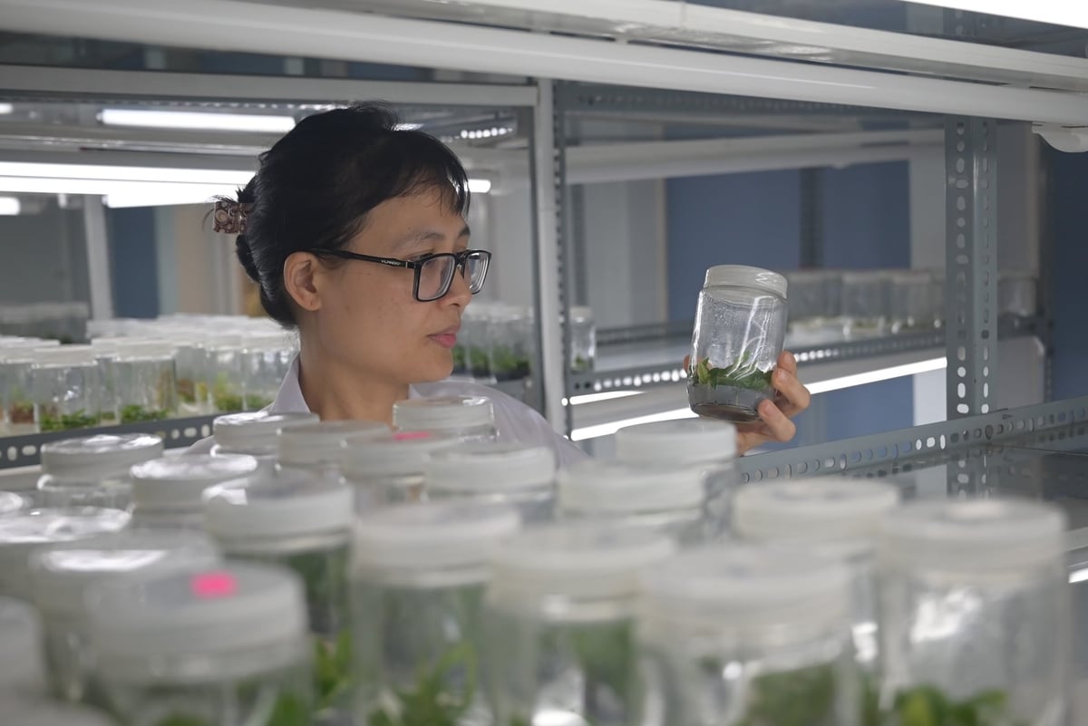 Các nhà khoa học kỳ vọng một 'liều thuốc' đủ mạnh từ cơ chế, chính sách đến chế độ đãi ngộ... Ảnh: Phạm Hoài.