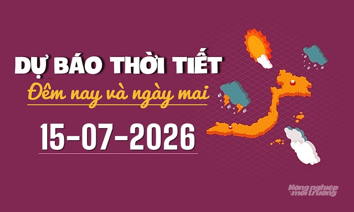 Dự báo thời tiết ngày mai 15/7/2026 trong cả nước