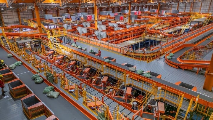 Một số doanh nghiệp lớn trong lĩnh vực logistics và chuyển phát bị xử lý vì cung cấp thông tin gây nhầm lẫn nhằm thu hút khách hàng của doanh nghiệp khác. Ảnh minh họa.