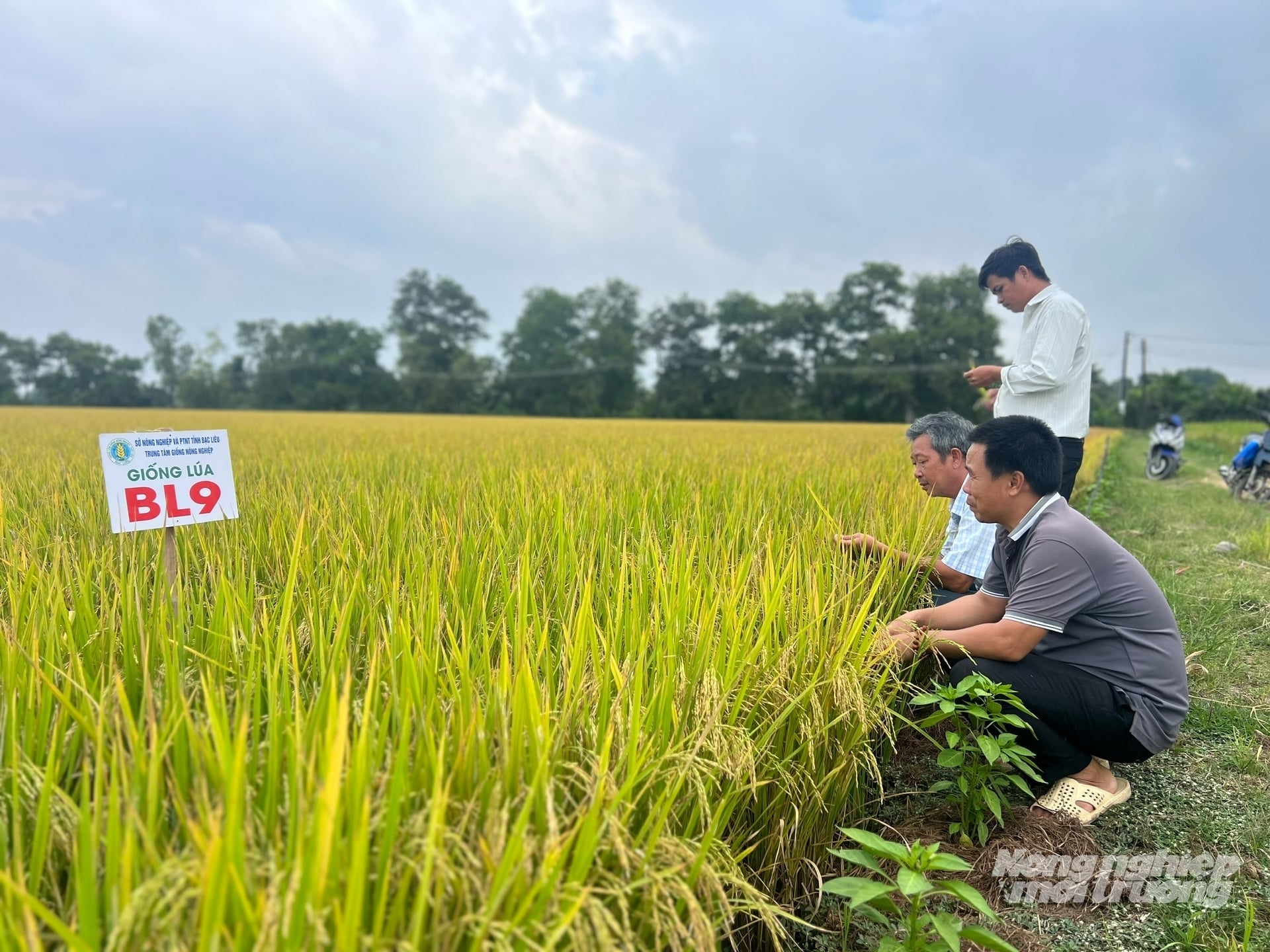 Sản xuất nông nghiệp Việt Nam đã và đang đối mặt với nhiều thách thức từ biến đổi khí hậu. Ảnh: Trọng Linh.