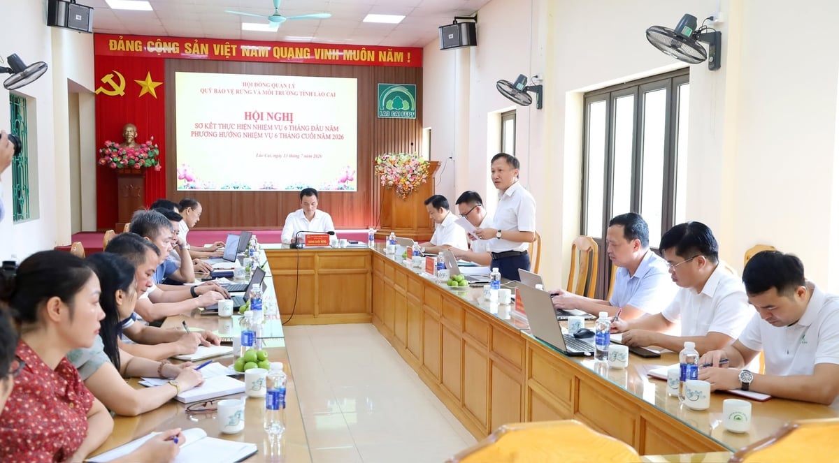 Lào Cai tiếp tục phát huy hiệu quả chính sách chi trả dịch vụ môi trường rừng khi thu hơn 103 tỷ đồng trong 6 tháng đầu năm 2026. Ảnh: Laocai.gov.vn