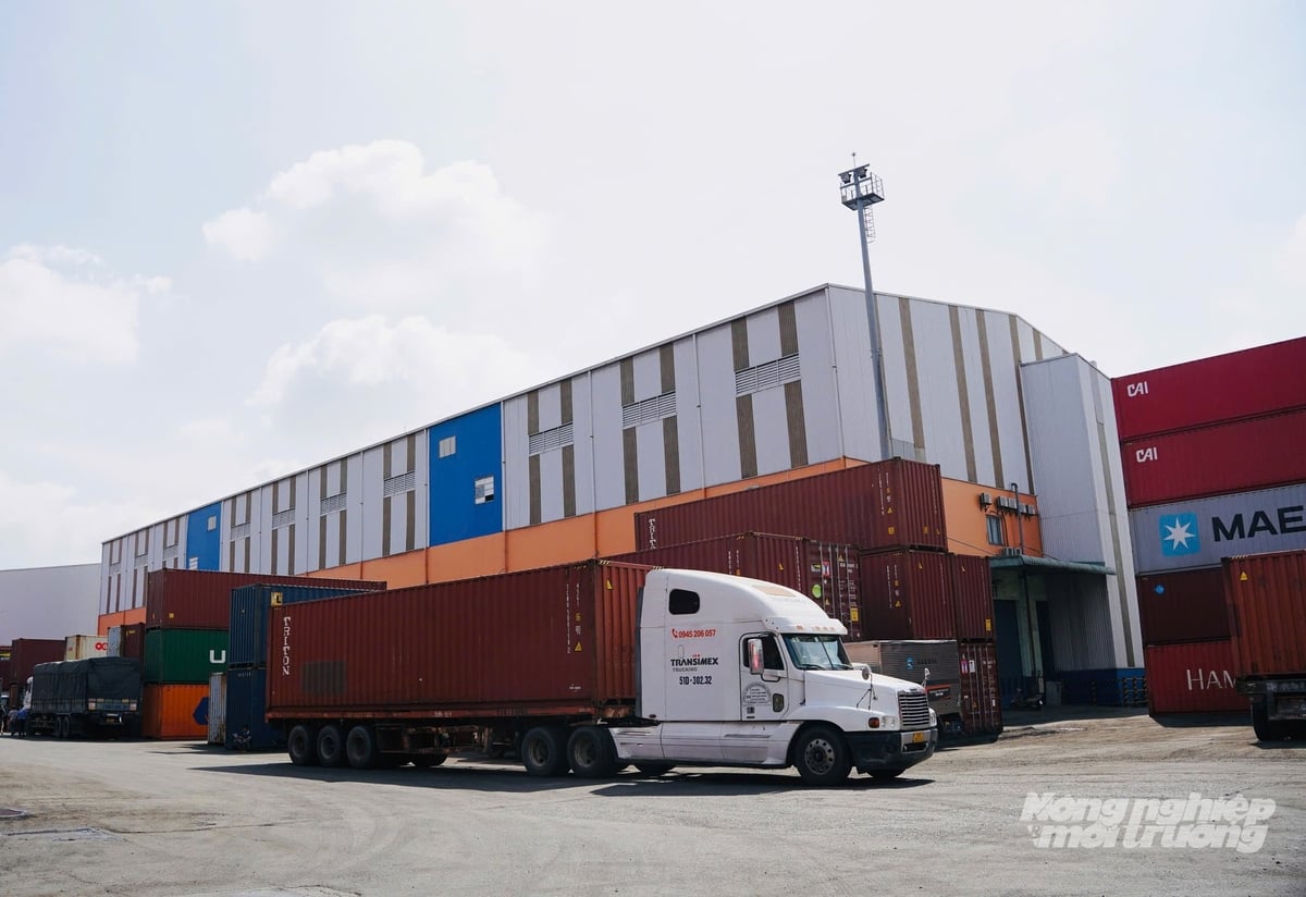 Phát triển logistics trở thành ngành dịch vụ có giá trị gia tăng cao, dựa trên ba trụ cột là hạ tầng đồng bộ, chuyển đổi số và logistics xanh.. Ảnh: Nguyễn Thủy.