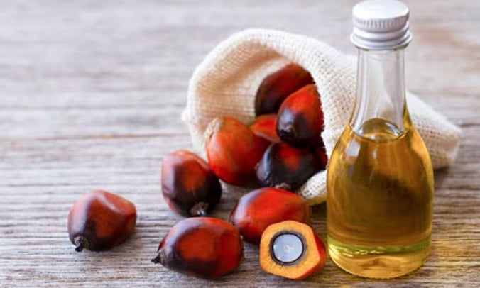 Ủy ban châu Âu (EC) đưa một số sản phẩm từ dầu cọ vào phạm vi điều chỉnh của Quy định chống phá rừng (EUDR). Ảnh: Food Navigator. 