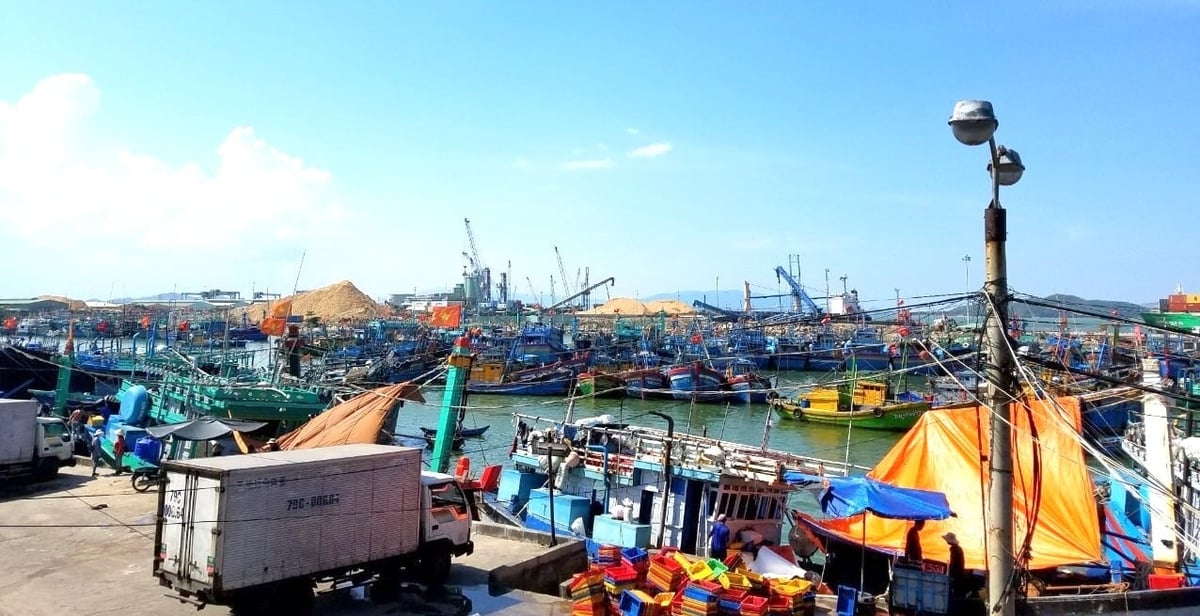 Cảng cá Quy Nhơn (phường Quy Nhơn, Gia Lai) - nơi có số lượng tàu thuyền neo đậu quá đông, thường xuyên trong tình trạng chật chội nên ngư dân xã Cát Tiến lựa chọn đưa tàu đến nơi khác neo đậu. Ảnh: V.Đ.T.