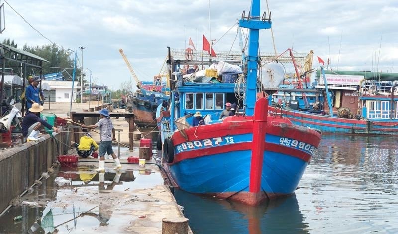 Cảng cá Sa Kỳ được công bố là cảng cá chỉ định cho tàu cá hoạt động ở vùng khơi trở ra cập cảng. Ảnh: VT.
