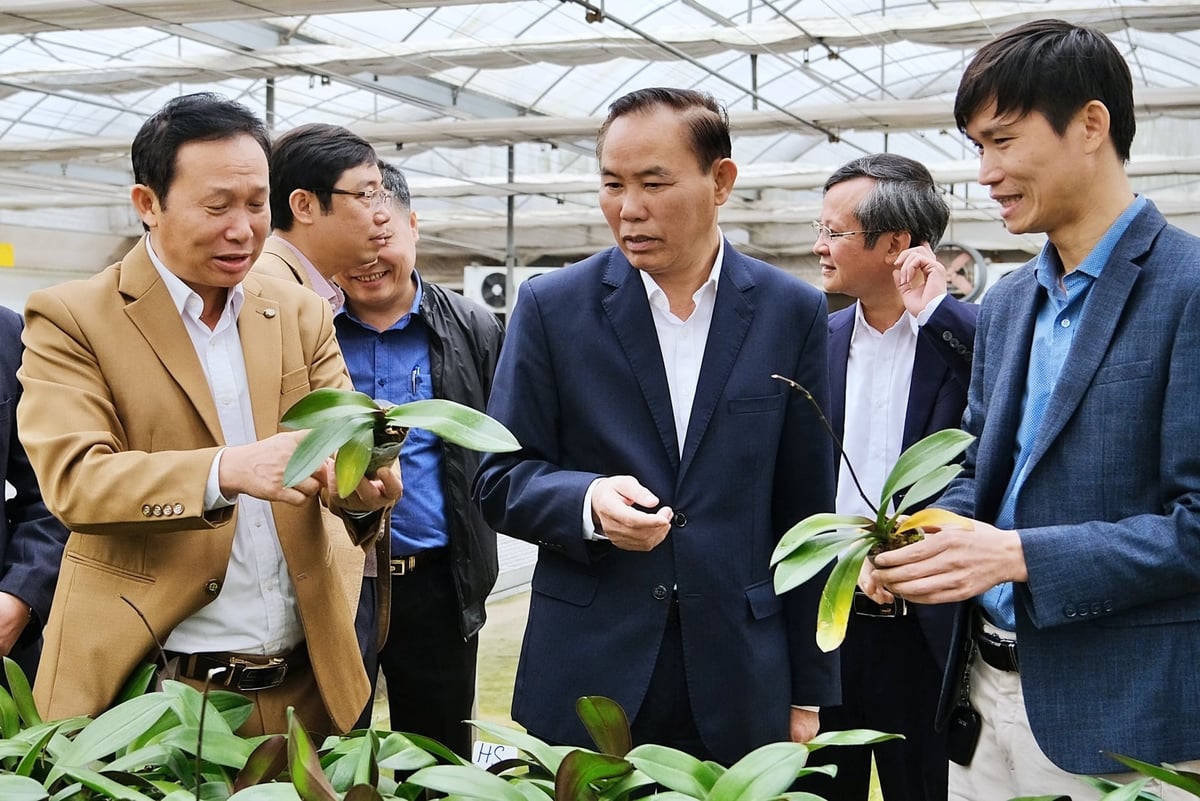 PGS.TS Đặng Văn Đông (bìa trái) trình bày các kết quả nghiên cứu với nguyên Thứ trưởng Bộ NN-MT Phùng Đức Tiến. Ảnh: Bảo Thắng.