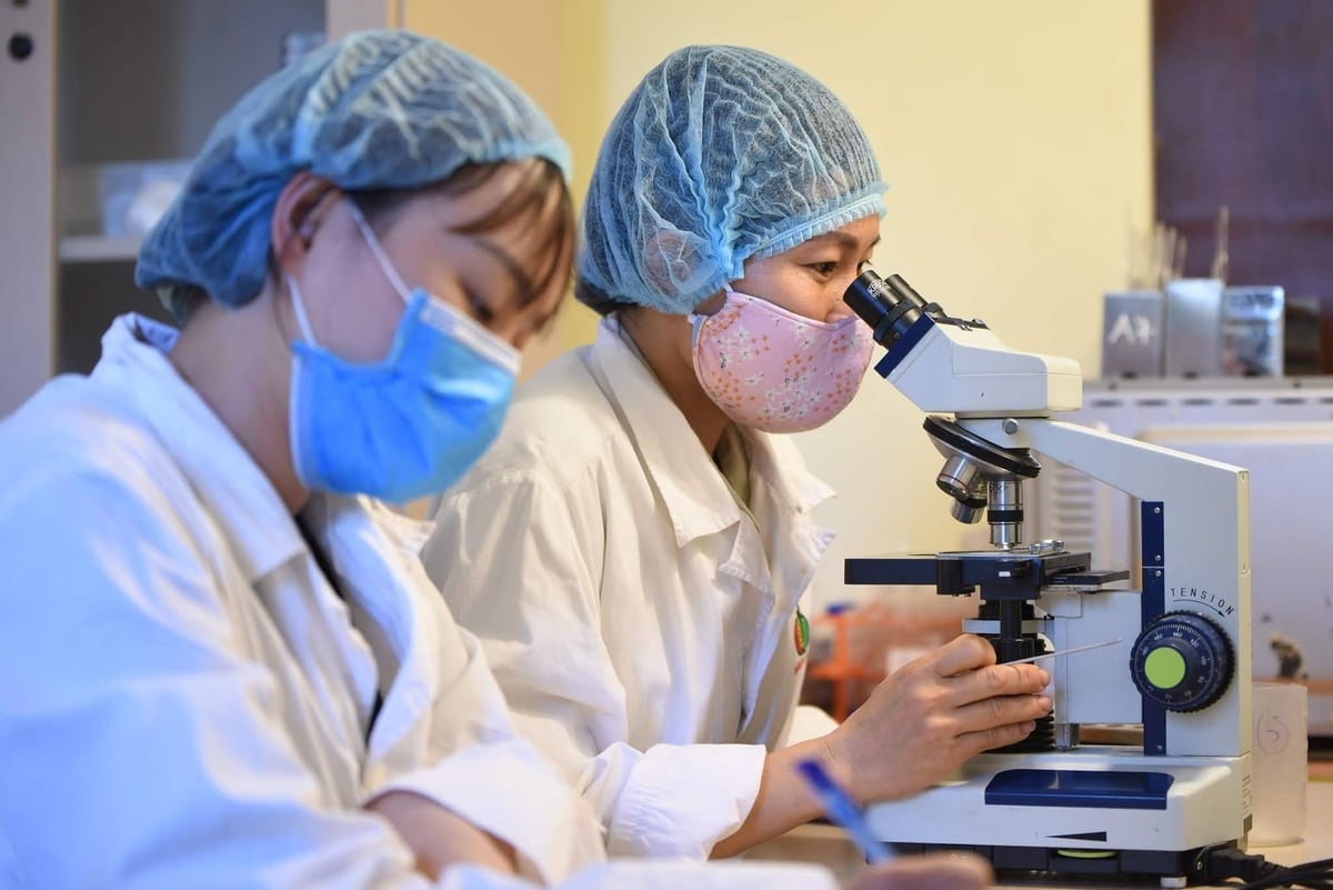 Việc sử dụng nguồn vốn trong nghiên cứu khoa học chưa hiệu quả. Ảnh: Tùng Đinh.
