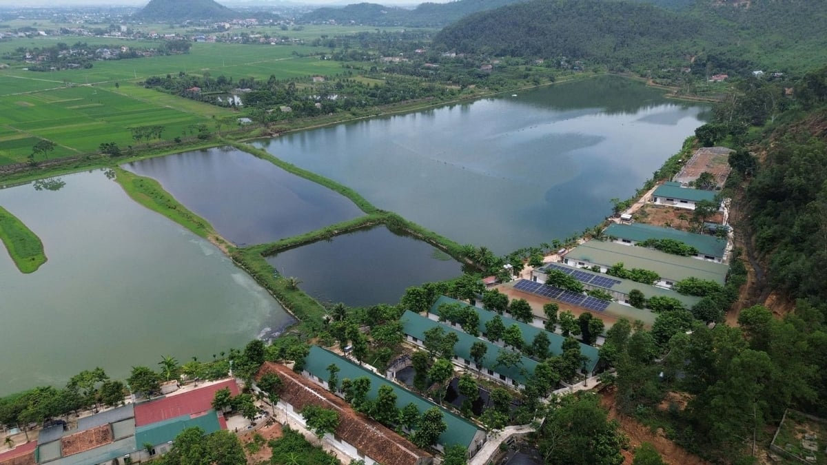 Sát bờ hồ Đồng Nững có trang trại lợn hoạt động. ĐT.