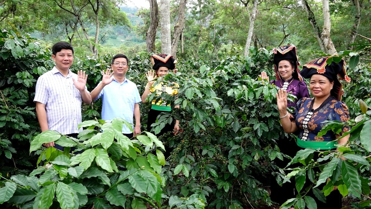 Nông nghiệp Điện Biên - Tiếng gọi Mường Trời. Ảnh: Duy Học.