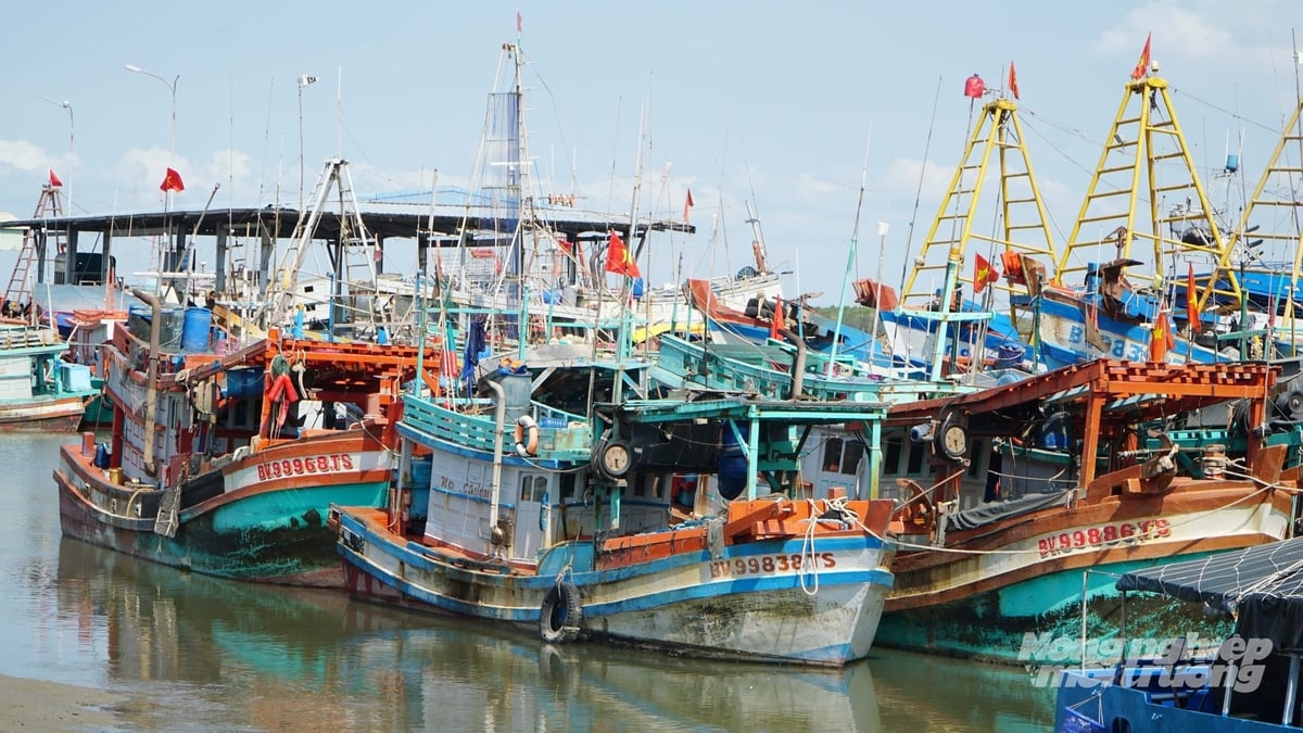 Việc số hóa 'lý lịch' tàu cá giúp cơ quan chức năng minh bạch hóa dữ liệu, nâng cao hiệu quả truy xuất nguồn gốc và đáp ứng các khuyến nghị của Ủy ban châu Âu (EC) về chống khai thác IUU. Ảnh: Lê Bình.