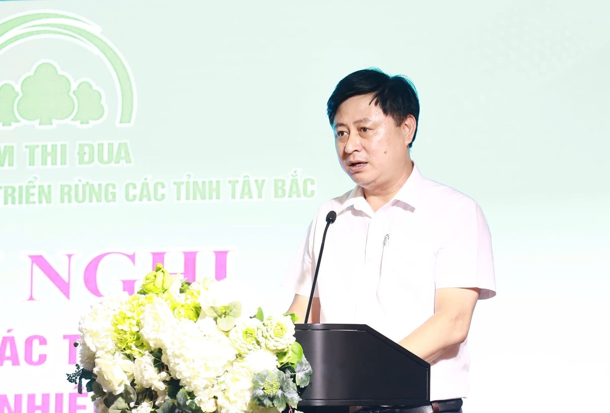 Ông Lê Văn Thanh, Giám đốc Quỹ Bảo vệ và Phát triển rừng Việt Nam đánh giá cao những kết quả mà các đơn vị trong cụm đạt được trong thời gian qua. Ảnh: Thanh Ngà.