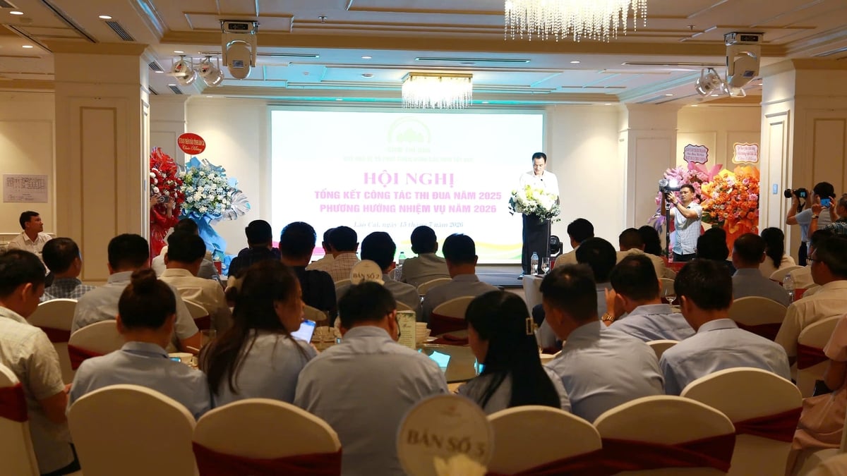 Hội nghị tổng kết công tác thi đua Quỹ Bảo vệ và Phát triển rừng các tỉnh Tây Bắc lần thứ IV năm 2026 được tổ chức tại Lào Cai. Ảnh: Thanh Ngà.