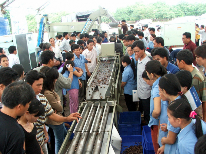Ngành điều Việt Nam có bước phát triển vượt bậc trong công nghệ chế biến điều. Ảnh: NNVN.