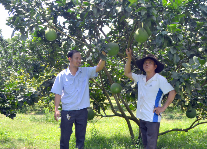 Cán bộ khuyến nông huyện Bù Đốp đồng hành cùng nhà nông về chuyển đổi cây trồng. Ảnh: Trần Trung.