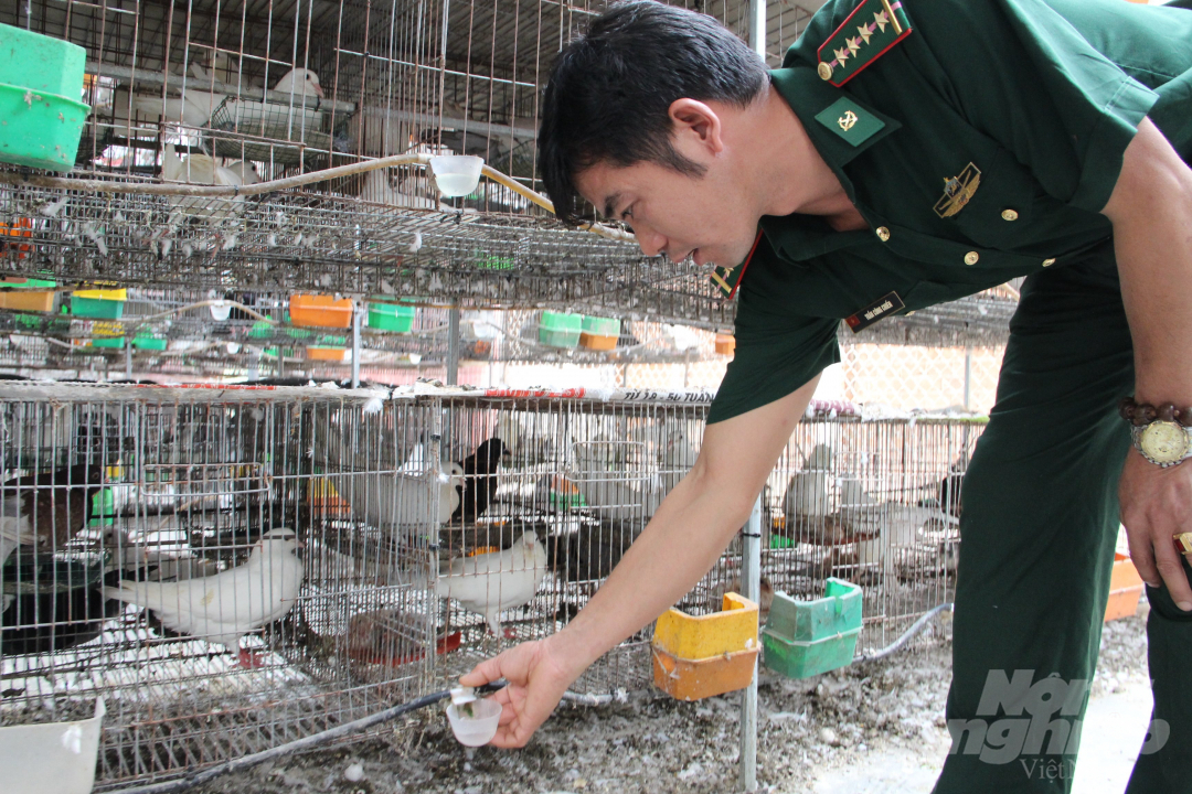 3-111806_988.jpg Máng ăn thông minh và hệ thống uống nước tự động là một trong những cải tiến của anh Chiến, đem lại hiệu quả cao trong chăn nuôi. Ảnh: Trần Trung.