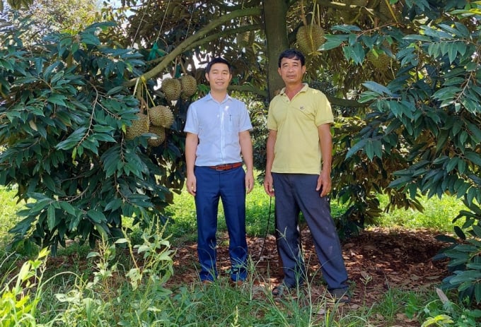 Cán bộ khuyến nông địa phương xuống hỗ trợ kỹ thuật HTX. Ảnh: CTV.