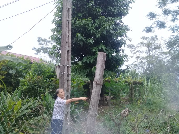 Quyết định sai của Tòa án tỉnh Phú Thọ đã khiến bà Lý không thể trở lại mảnh đất bà đã quản lý sử dụng trong 39 năm