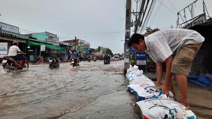 Triều cường, nước biển dâng là nỗi lo lớn nhất của ĐBSCL. Ảnh: Minh Đảm.